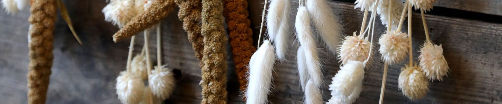 Dried flowers