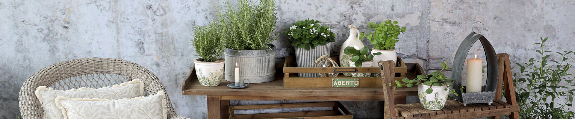 Planters & Centrepieces