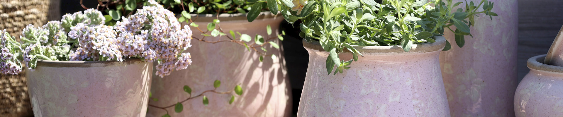 Planters & Centrepieces