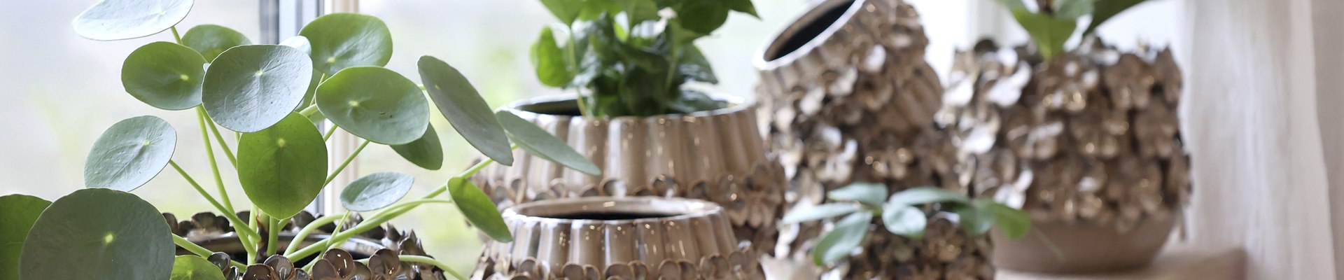 Cache-pots & bol sur comport