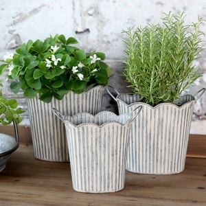 Planters