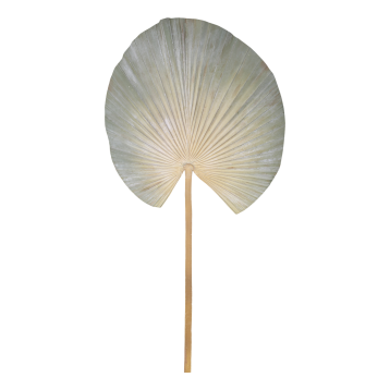 Fleur Palme Blad