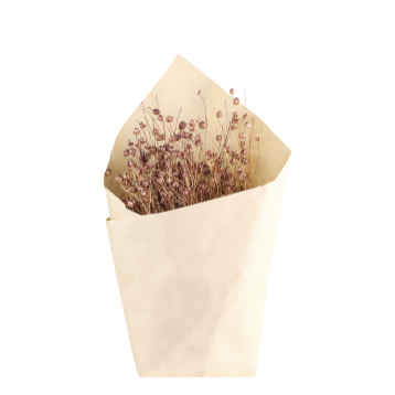 Fleur tørret Hør
