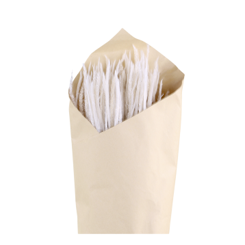 Fleur tørret Pampasgræs