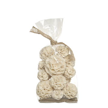 Fleur Blomsterkugler tørrede