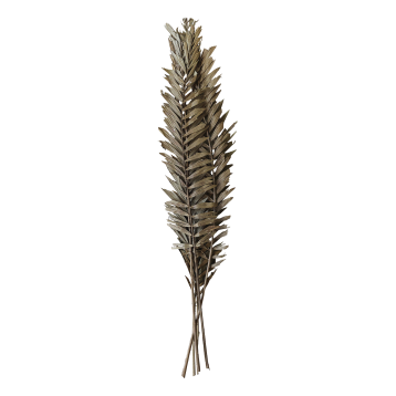 Fleur tørrede Blade