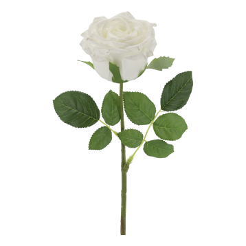 Fleur Rose Silk Touch