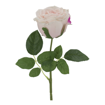 Fleur Rose Silk Touch