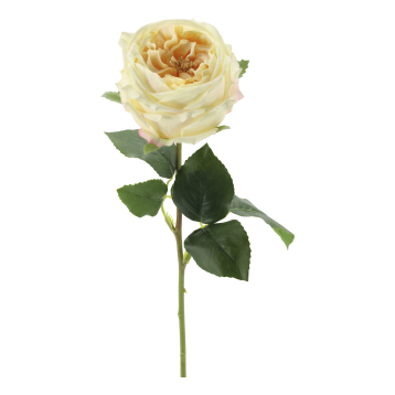 Fleur Rose Silk Touch