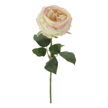 Fleur Rose Silk Touch