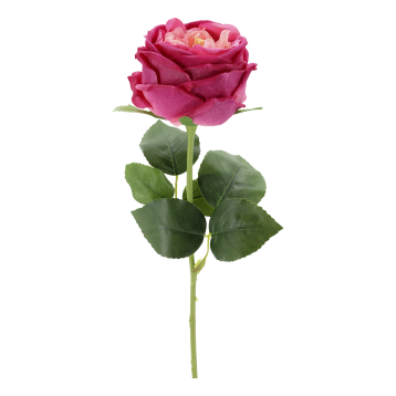 Fleur Rose Silk Touch