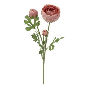 Fleur Ranunkel Silk Touch