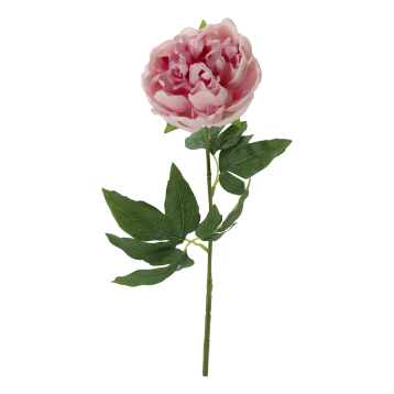 Fleur P&aelig;on Silk Touch