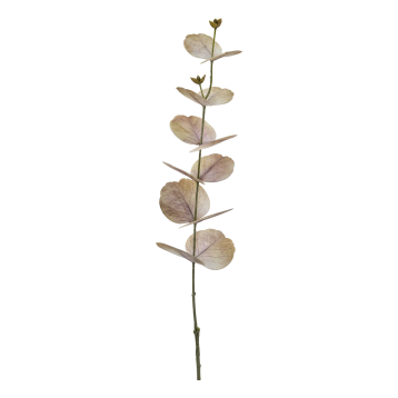 Fleur Eucalyptus Silk Touch