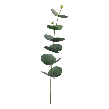 Fleur Eucalyptus Silk Touch