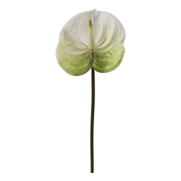 Fleur Flamingo Blomst