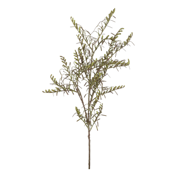 Fleur Gren