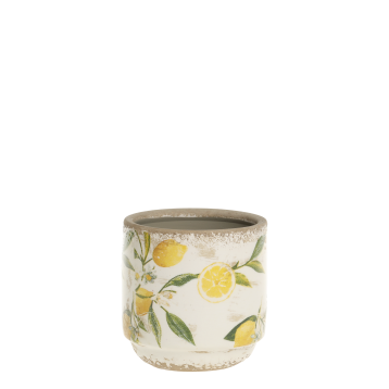Limone Skjuler m. citronmotiv