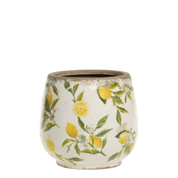 Limone Skjuler m. citronmotiv