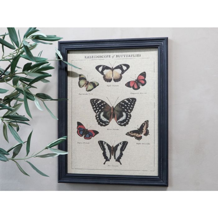 Billede m. sommerfuglemotiv & sort ramme