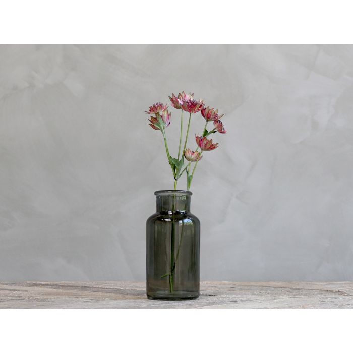 Fleur Tidsel