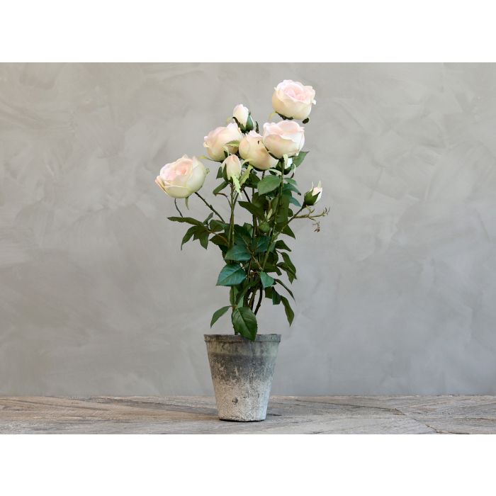 Fleur Rose i gl. keramik potte