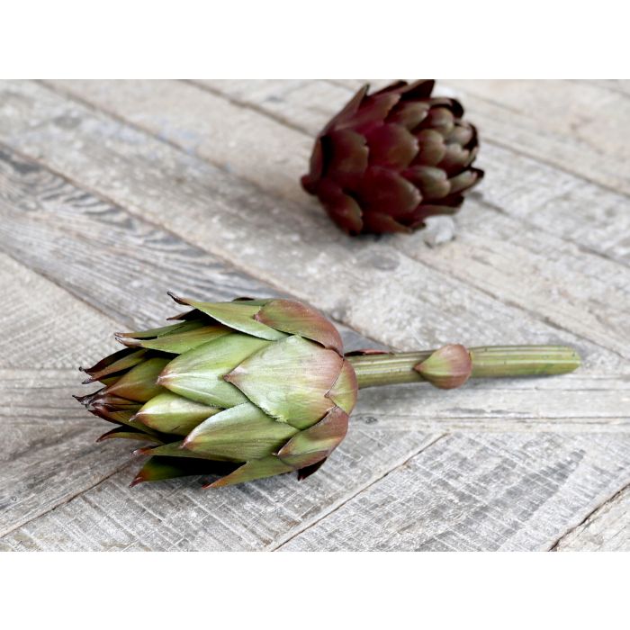 Fleur Artichaut