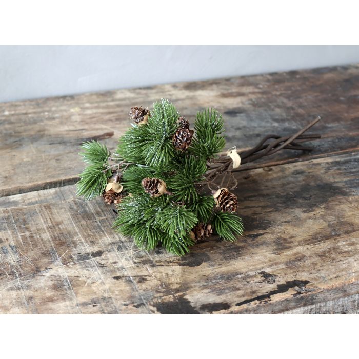 Fleur Branche de Cèdre a. pommes de pin