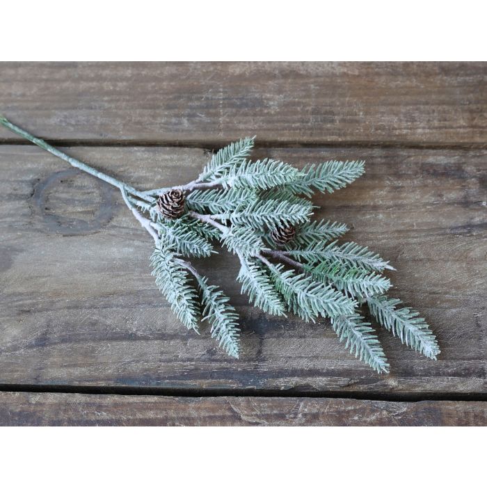 Fleur Branche sapin a. cônes et neige