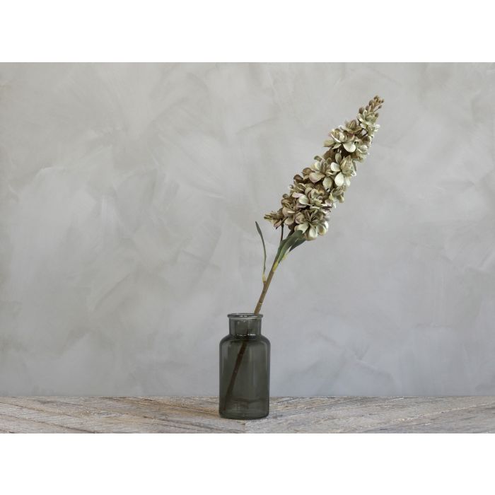 Fleur Ridderspore