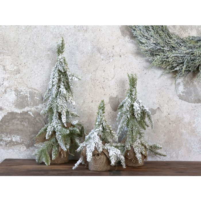 Fleur Sapin avec neige