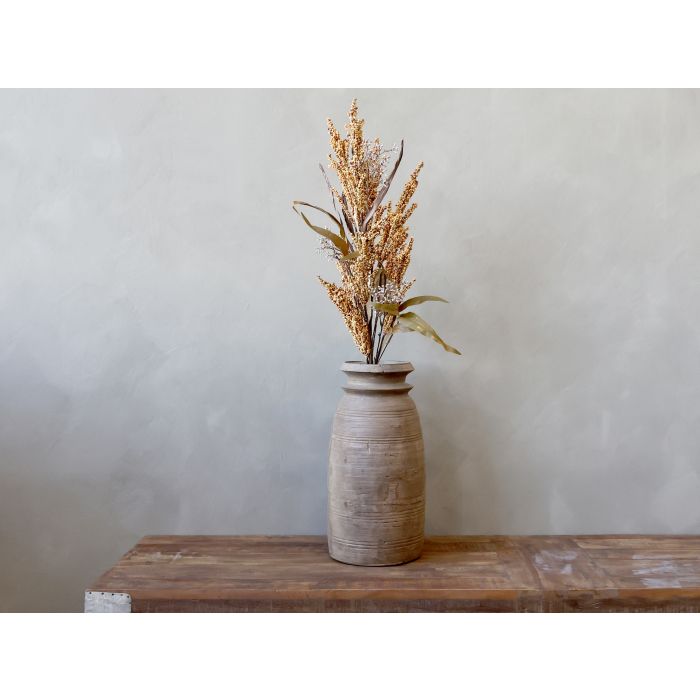 Fleur Branche avec capsules de graines