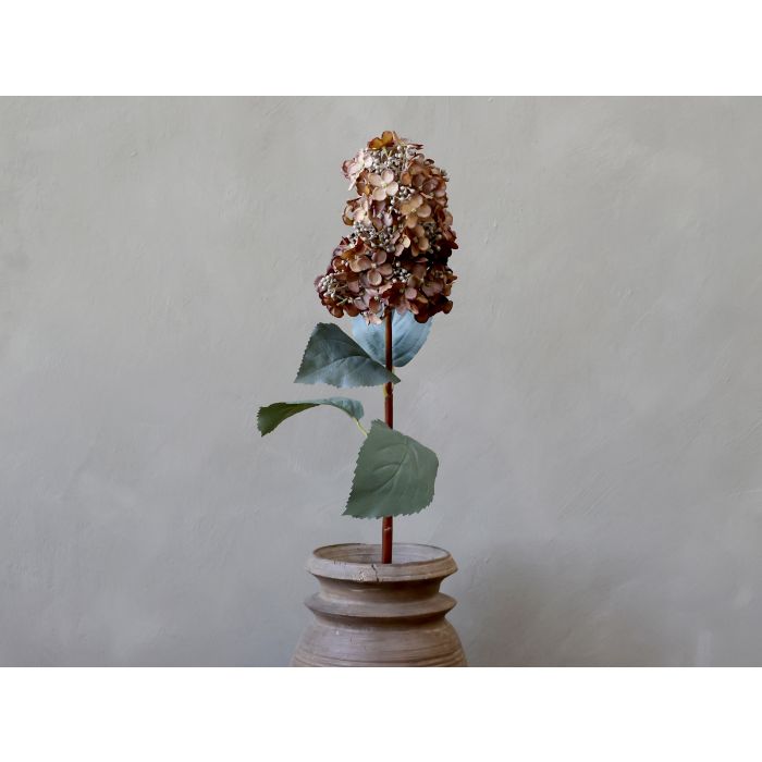 Fleur Hortensia