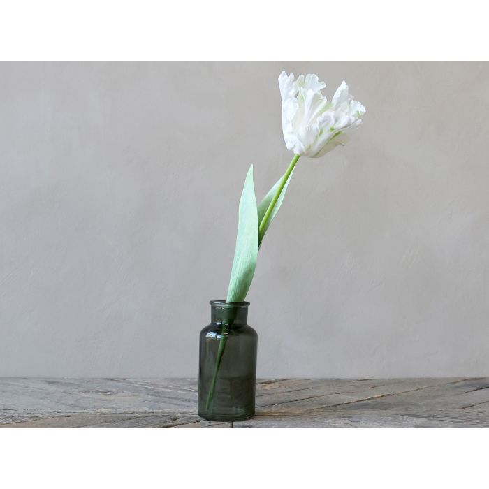 Fleur Tulipan