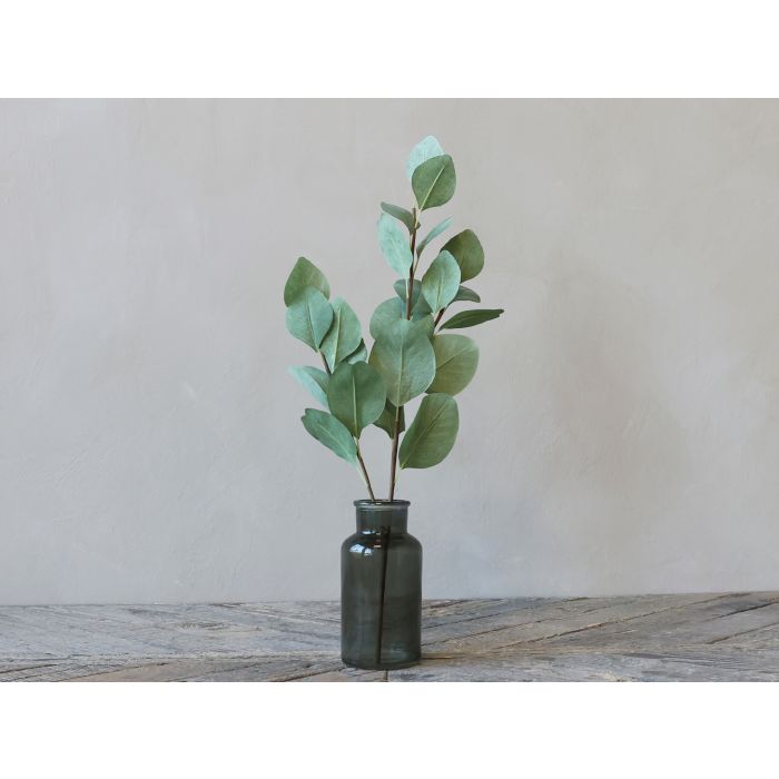 Fleur Eucalyptus gren