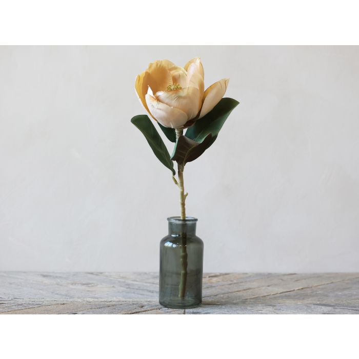 Fleur Magnolia