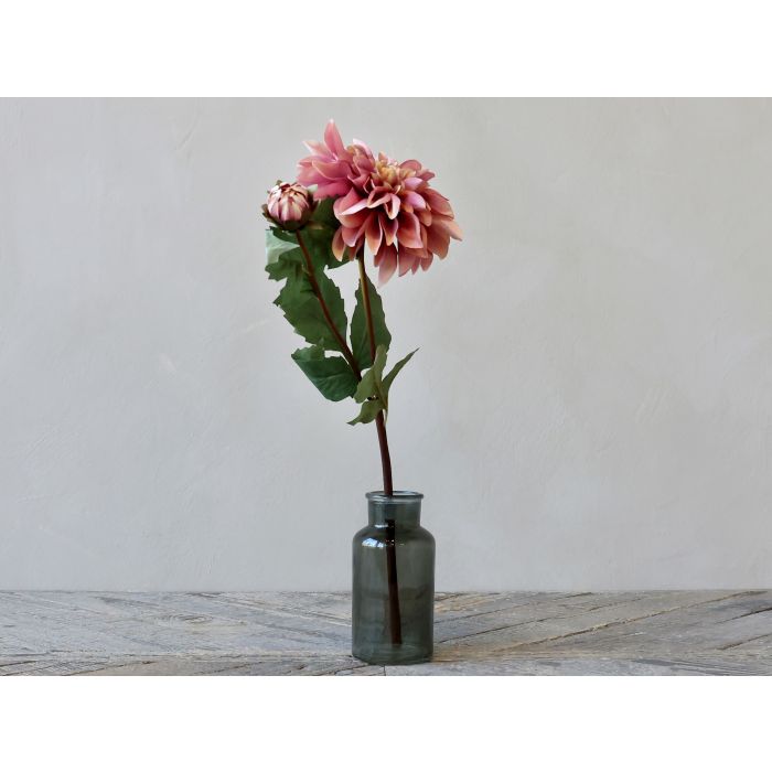 Fleur Dahlia