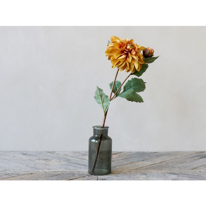 Fleur Dahlie
