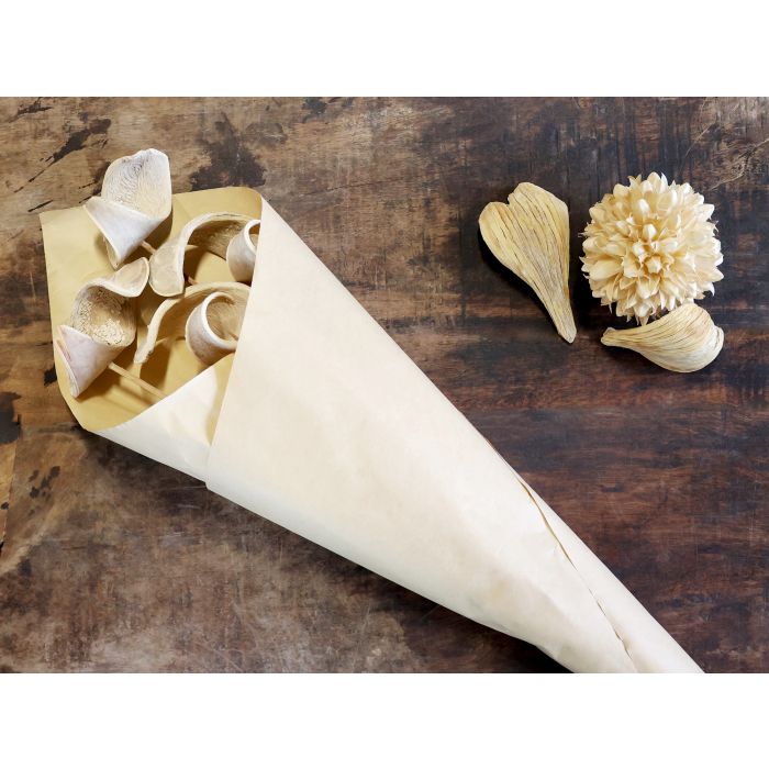 Fleur tørret Alocasia