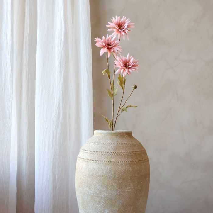 Fleur Krysantemum
