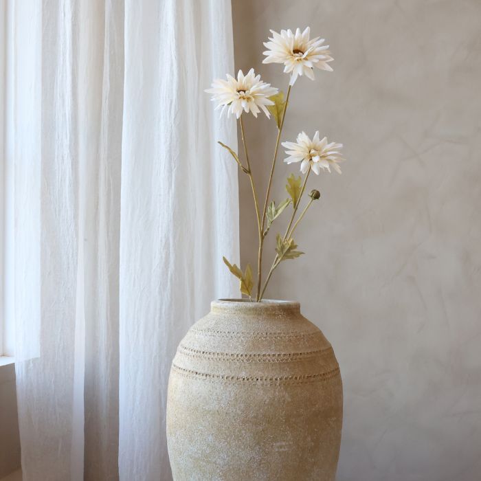 Fleur Krysantemum