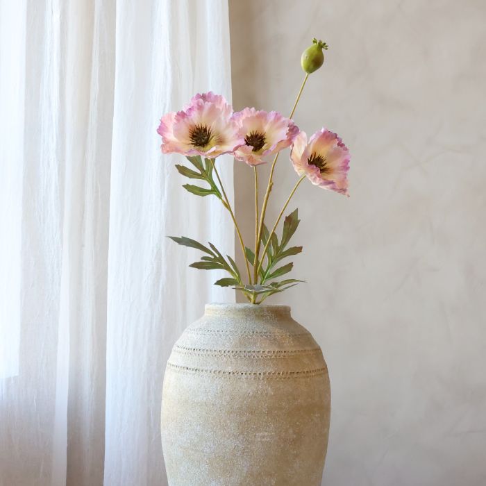 Fleur Valmue