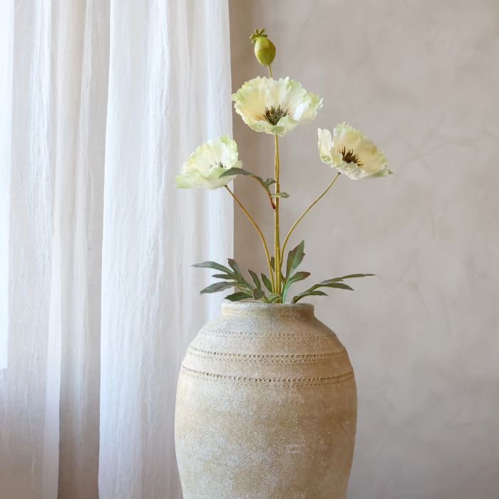 Fleur Valmue