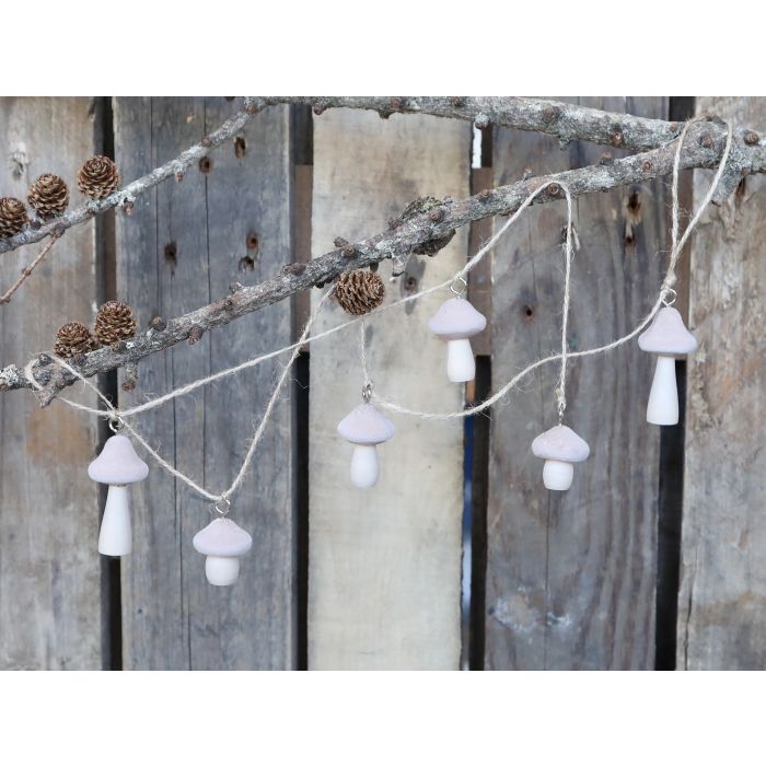 Vigne avec 6 champignons velours