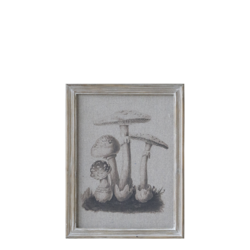 Billede m. svampemotiv og naturramme