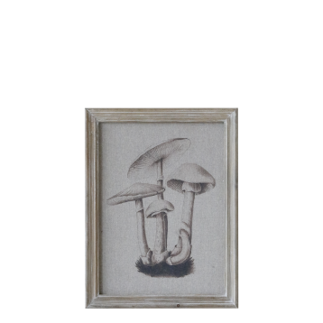 Image avec motif champignon et cadre naturel