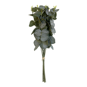 Fleur Eucalyptus buket