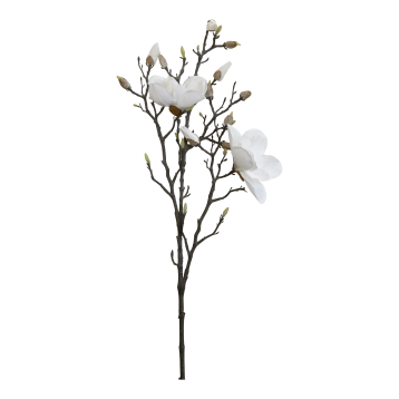 Fleur Magnolia