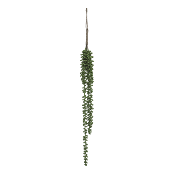 Fleur Hanging Plant