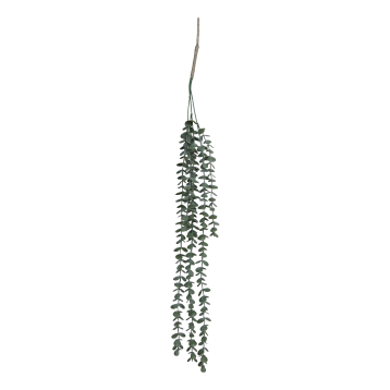 Fleur Hanging Plant